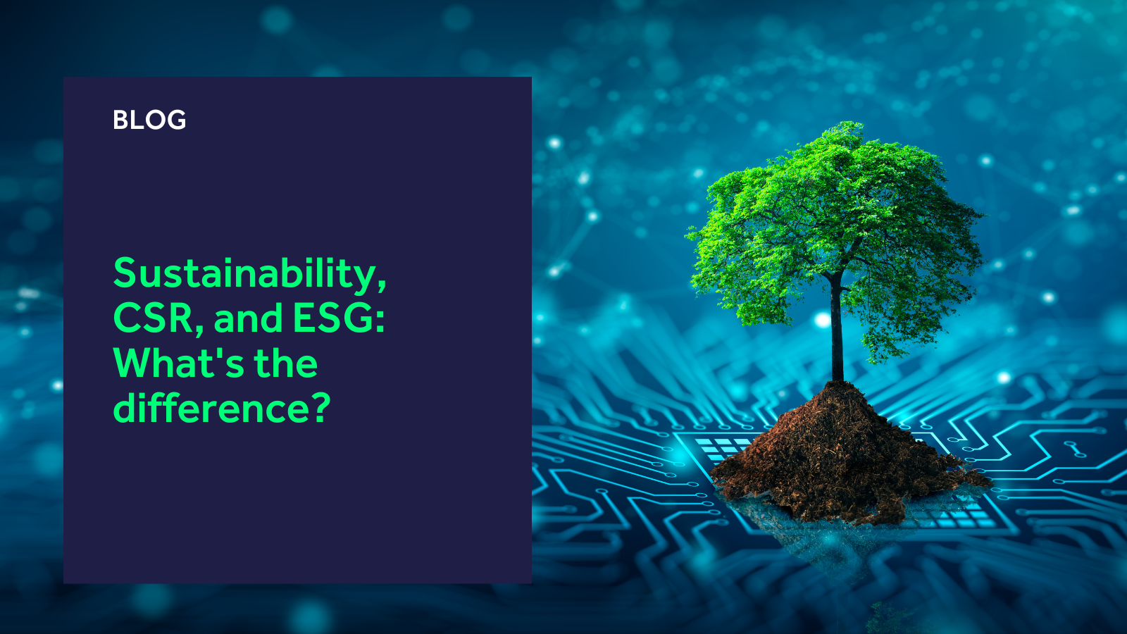 Sustainability, CSR, and ESG: What's the difference?