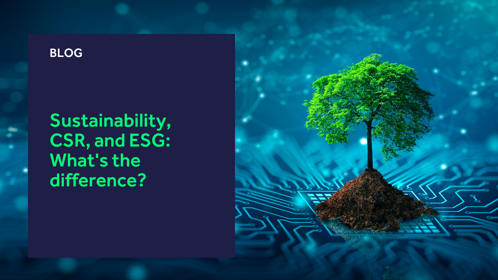 ESG & Sustainability